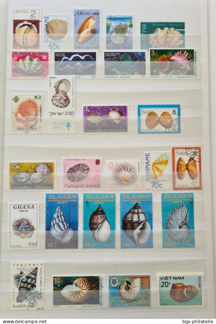 Collection de timbres sur le thème des COQUILLAGES.