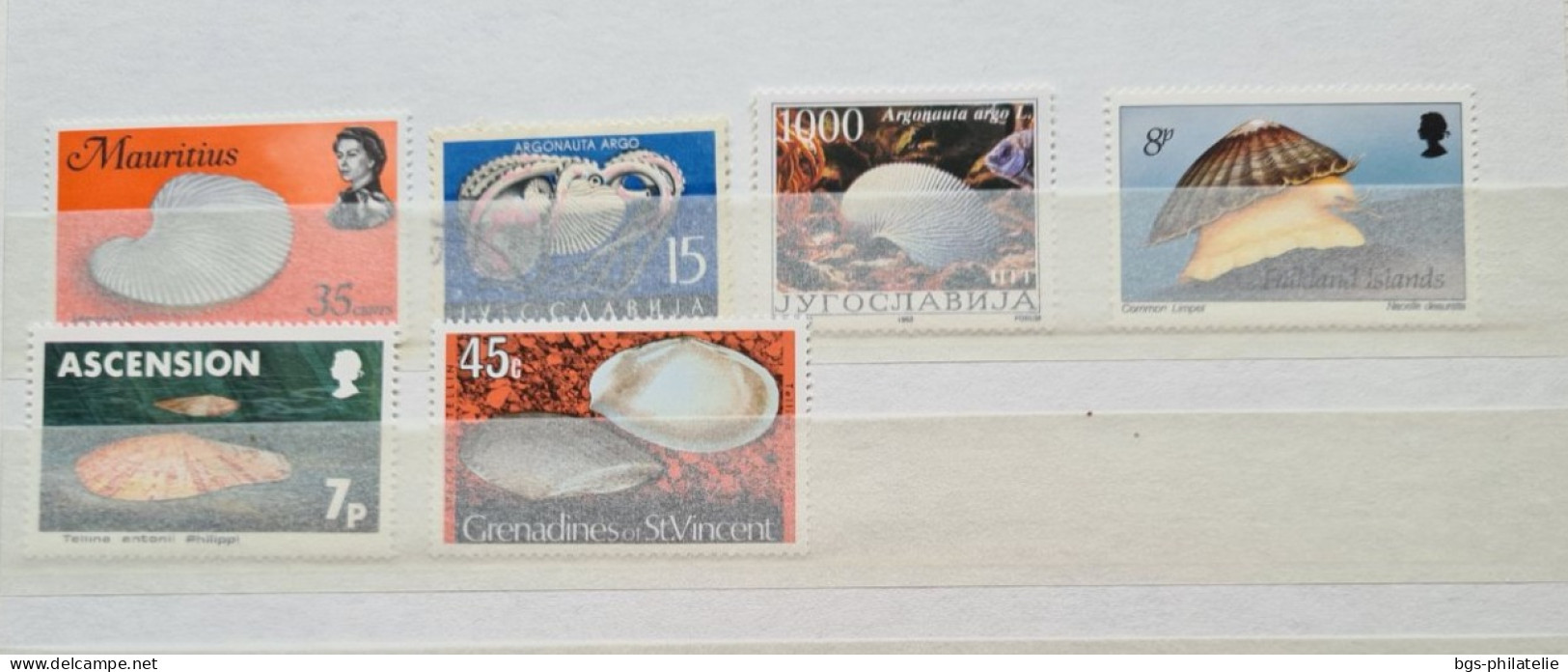 Collection de timbres sur le thème des COQUILLAGES.