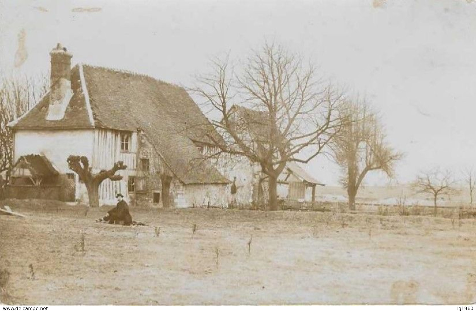 Ile Aux Cerises - Photocarte - Autres & Non Classés