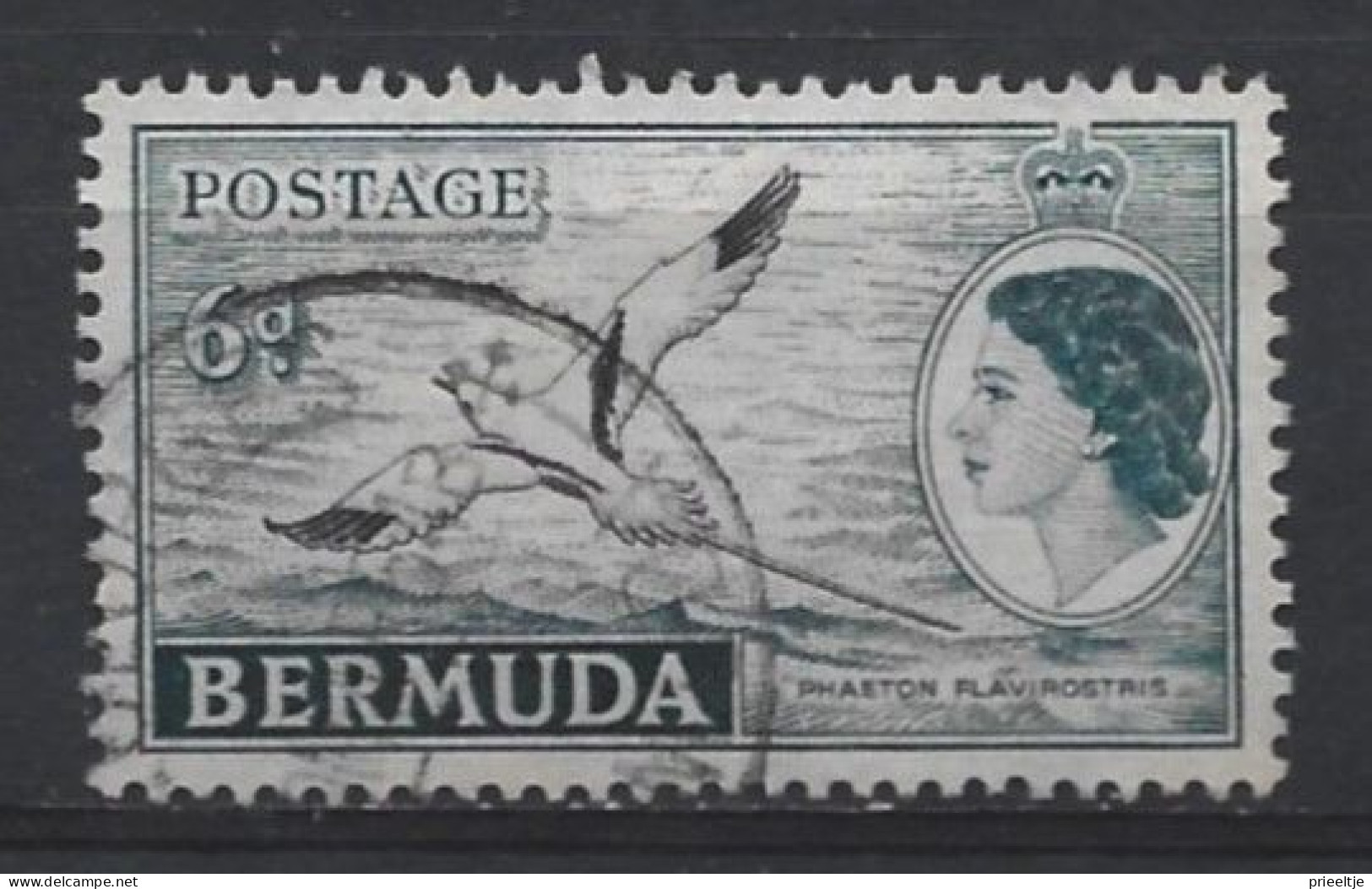 Bermuda 1953  Bird Y.T. 141  (0) - Bermuda