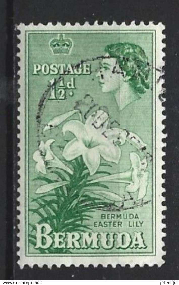 Bermuda 1953 Flowers  Y.T. 135  (0) - Bermudes