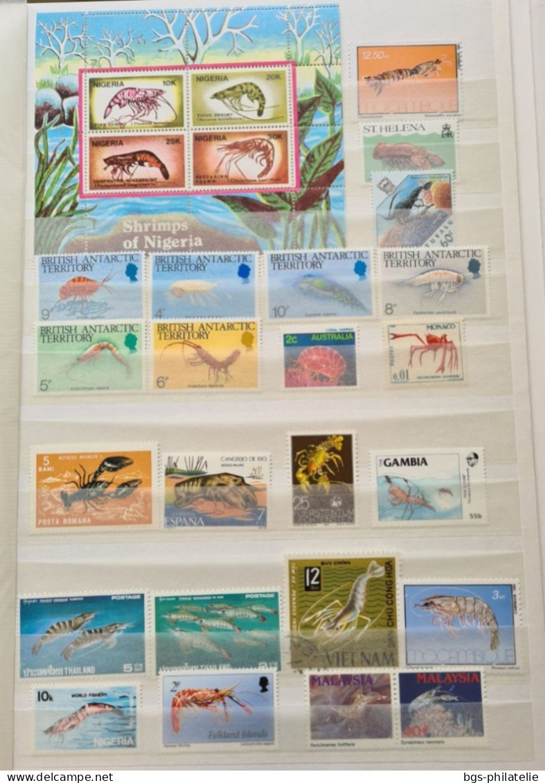 Collection De Timbres Sur Le Thème Des  Crevettes. - Collections (sans Albums)