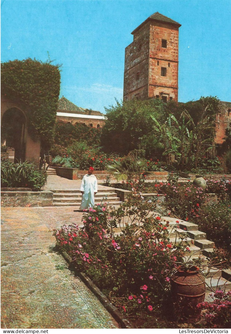 MAROC - Rabat - Jardin Des Ouadaïas - Carte Postale - Rabat