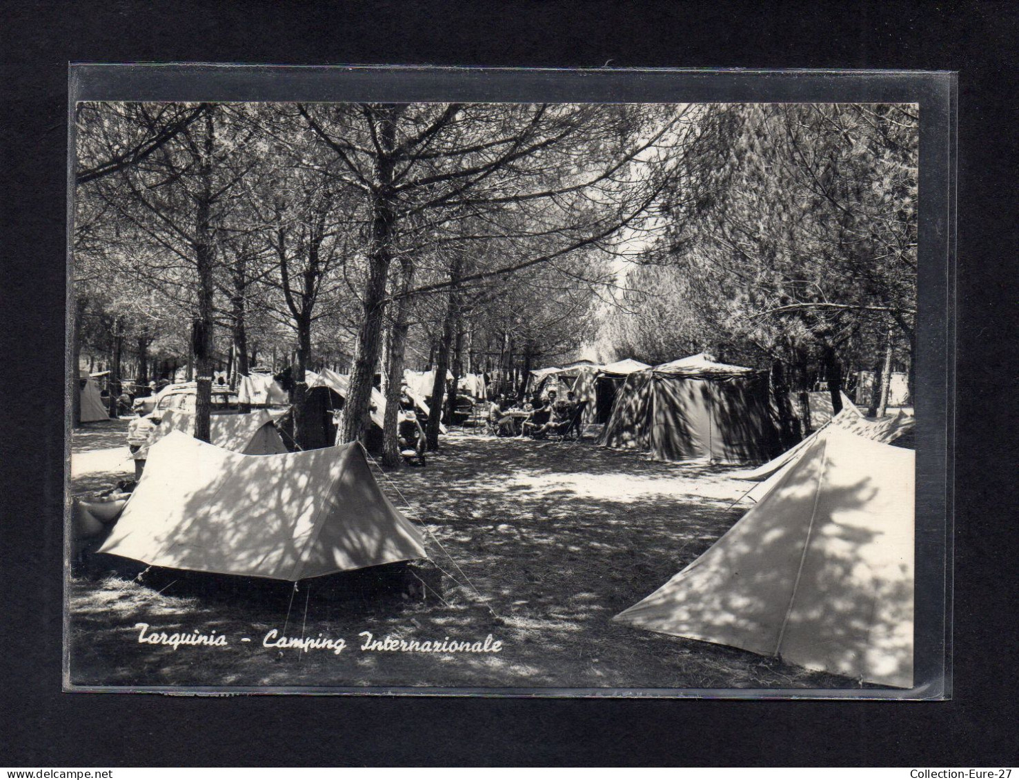 (16/04/24) ITALIE-CPSM TARQUINIA - Viterbo