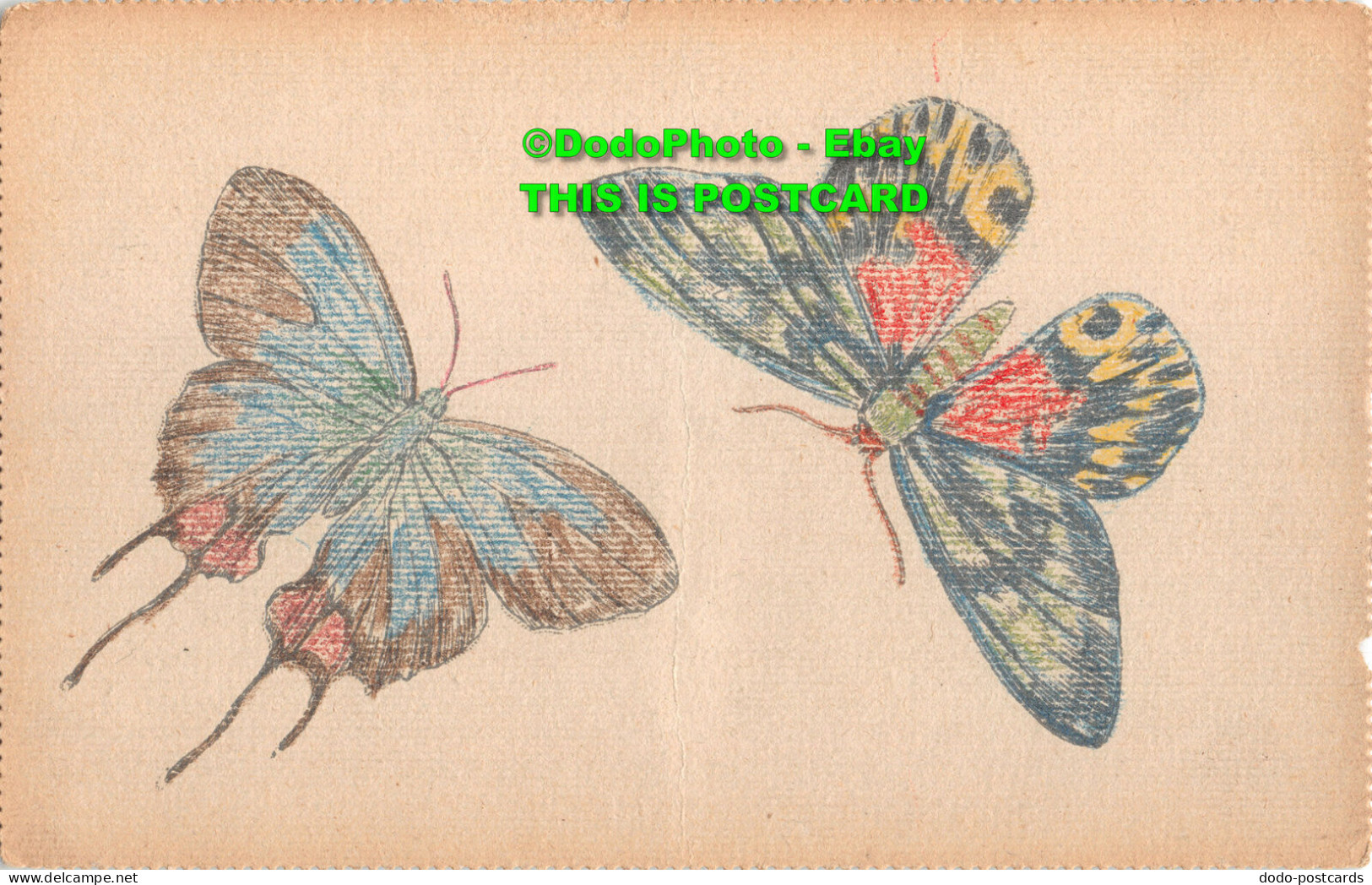 R376917 Two Butterflies. Tuck. Postcard - Mondo