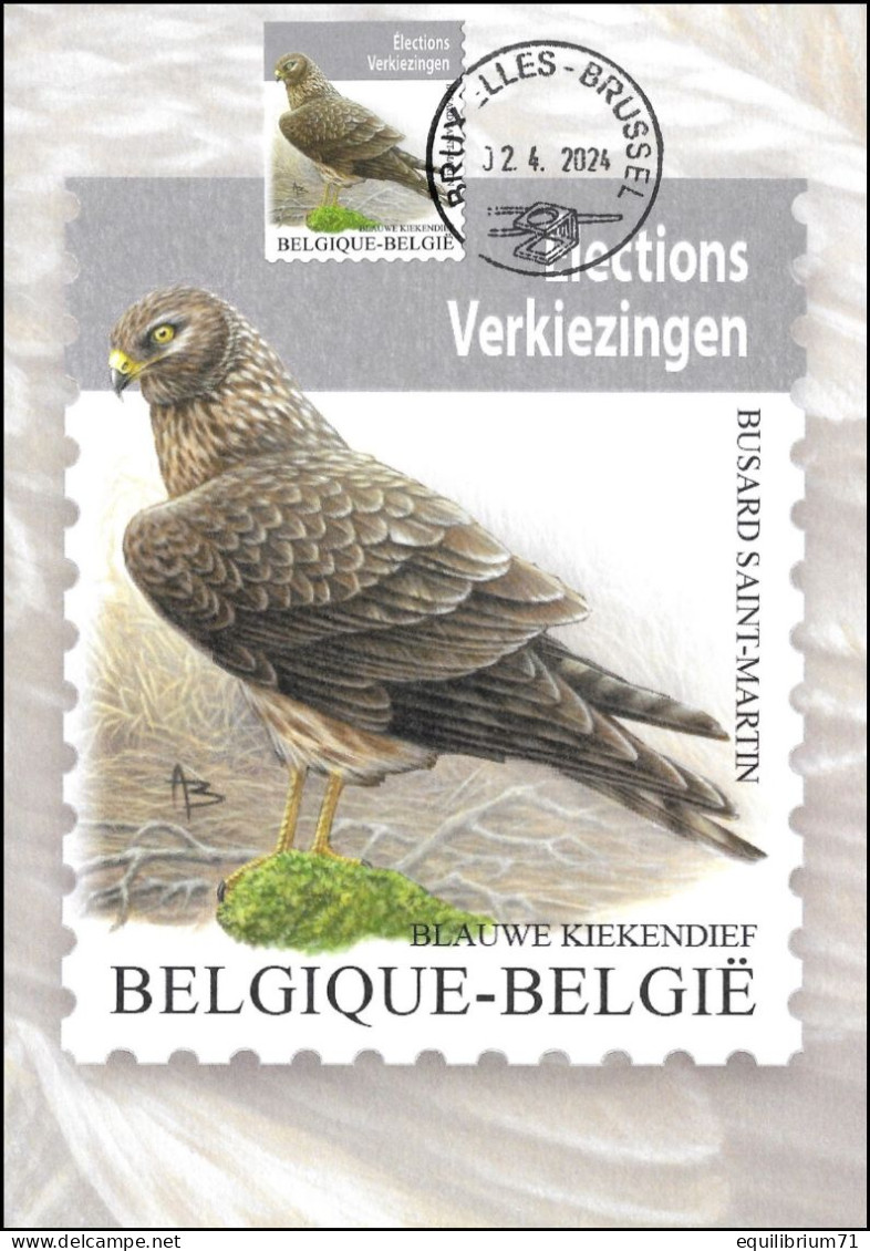 CM/MK°  Busard Saint-Martin / Blauwe Kiekendief / Kornweihe / Hen Harrier - Pince & Loupe - BXL-BSL - 02-04-2024 - BUZIN - 1985-.. Oiseaux (Buzin)