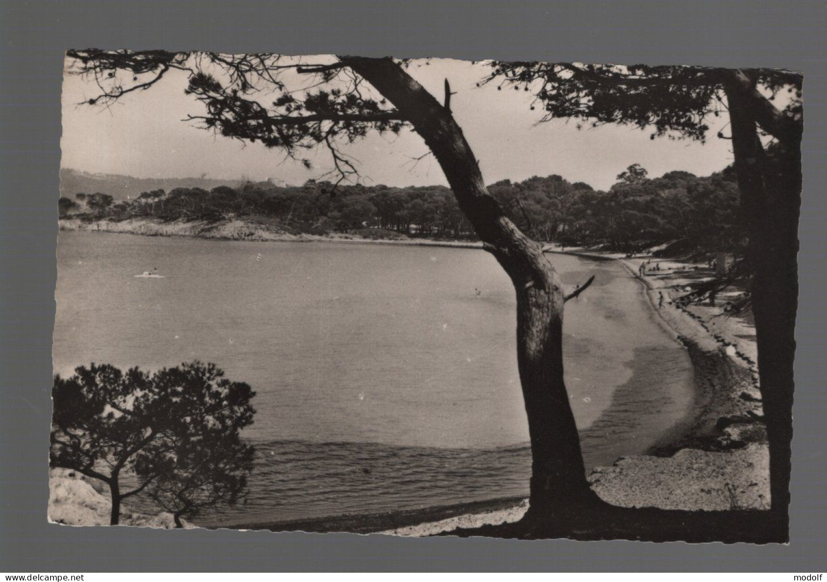 CPSM Dentelée - 83 - Ile De Porquerolles - Le Bord De Mer Vers La Plage D'Argent - Non Circulée - Porquerolles