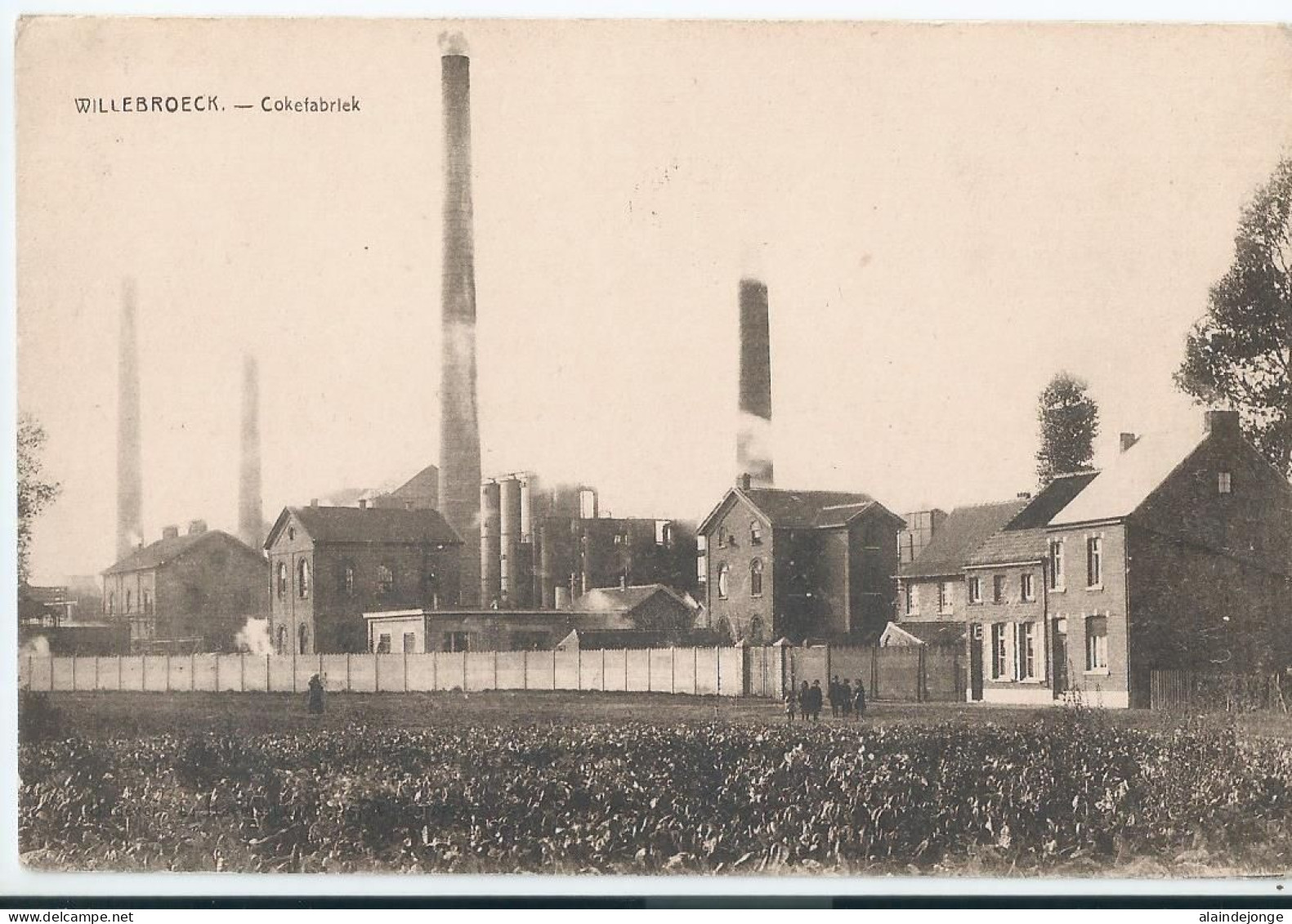 Willebroek - Willebroeck - Cokefabriek  - Willebroek