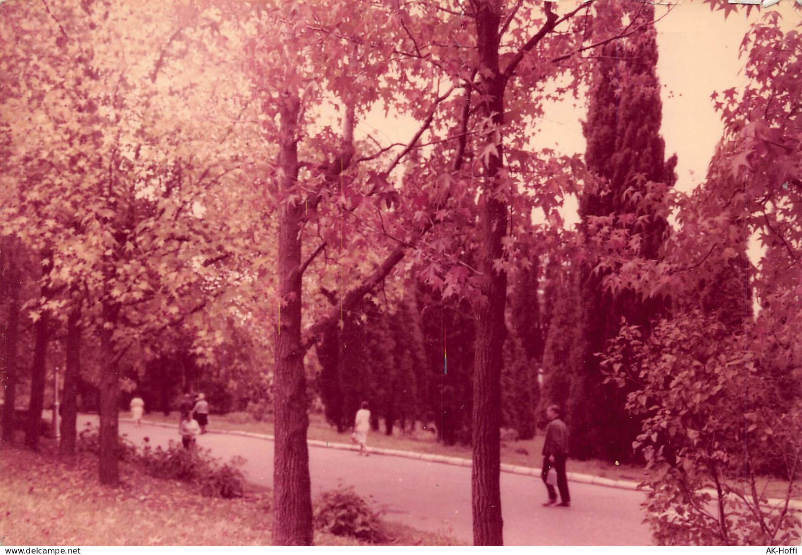 Sochi - Sanatorium. A View Of The Park. - Russie