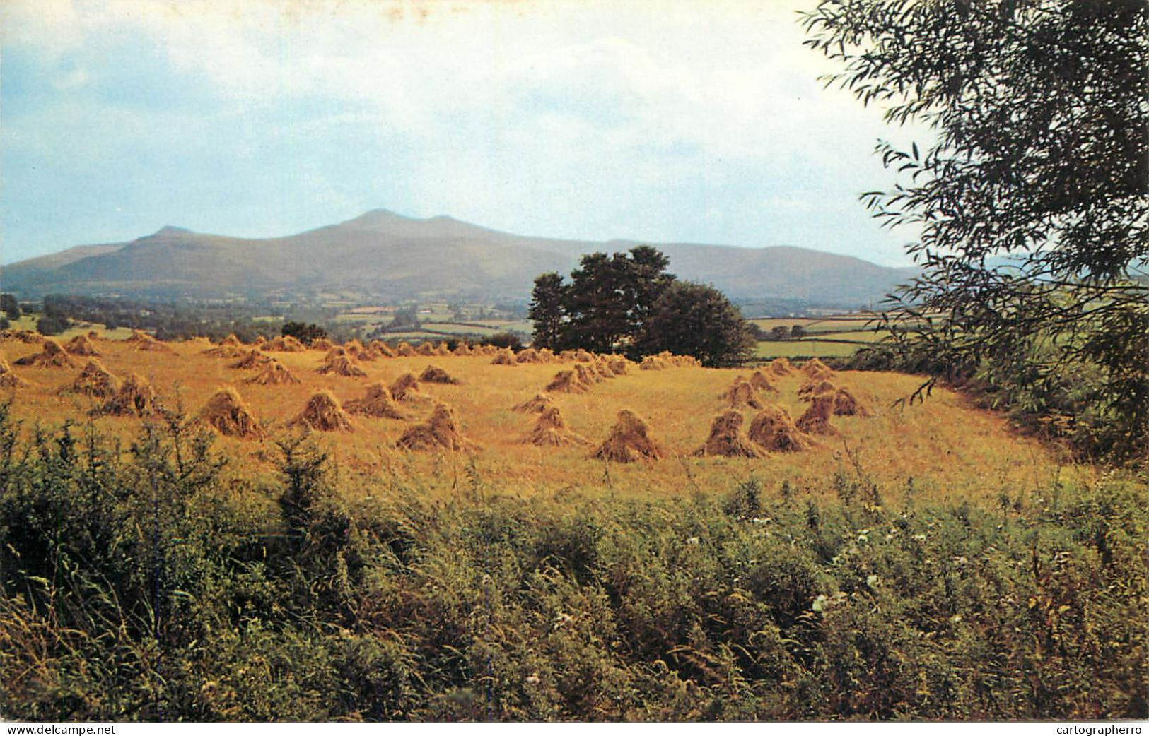 Wales Brecon - The Beacons From Crug Hill - Breconshire