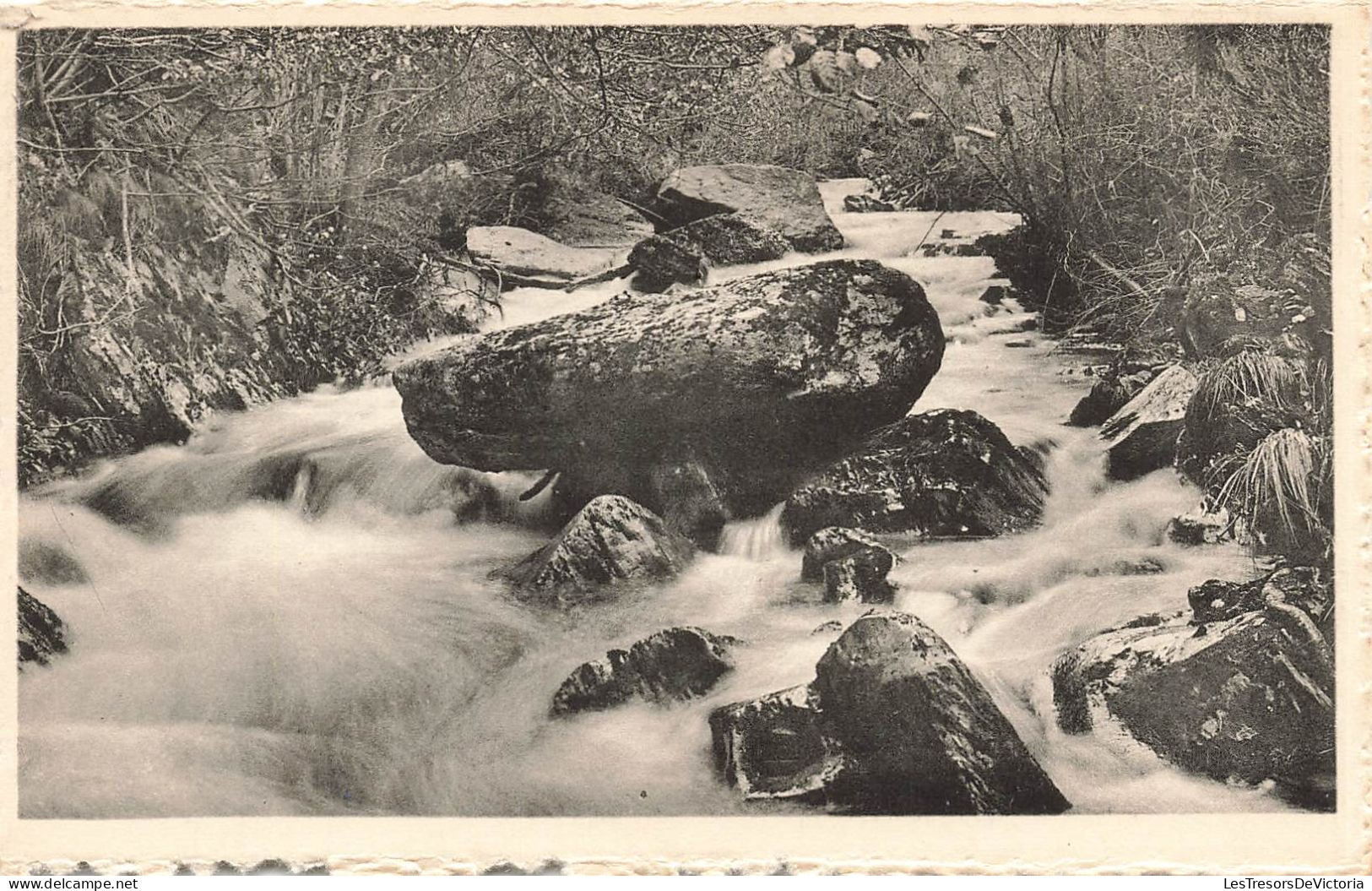 BELGIQUE - Malmédy - Vallée Du Bayhon - Carte Postale Ancienne - Malmedy