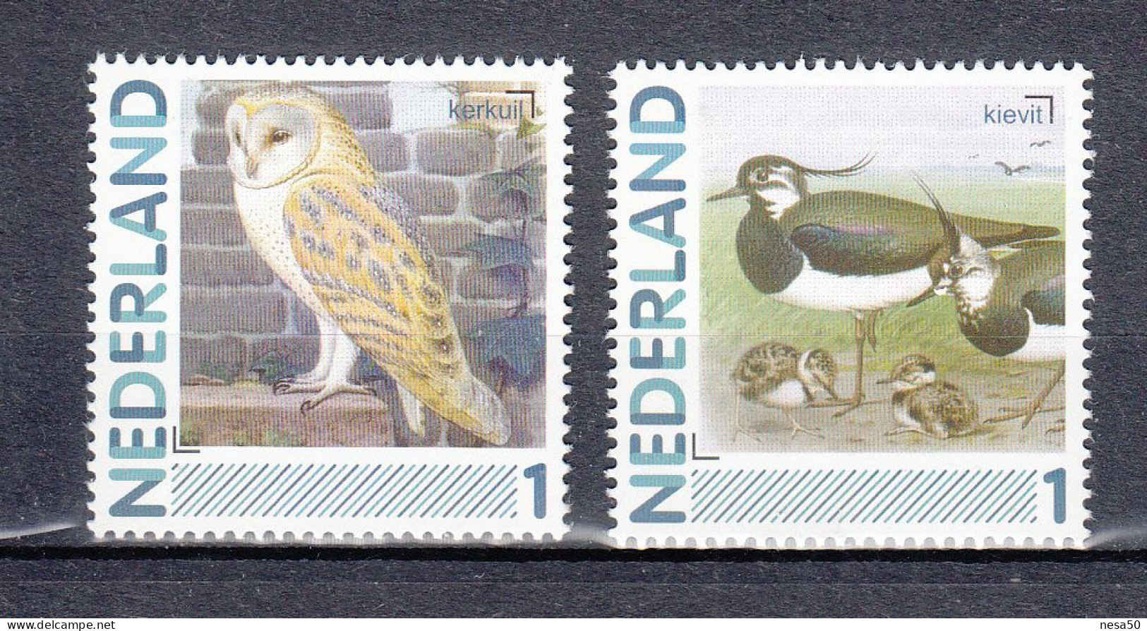 Nederland Persoonlijke Zegels: Vogels, Birds, : Kerkuil + Kievit ; Barn Owl + Lapwing - Nuovi