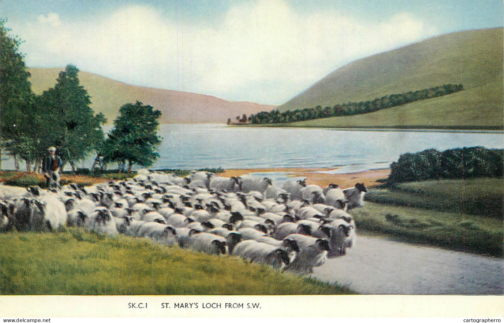 Scotland St Mary's Loch Shepherd With Flock - Autres & Non Classés