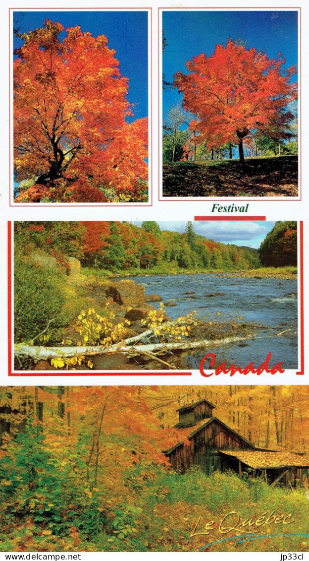 10 Anciennes CP Du Canada (Ottawa, Montréal, Québec, Ontario, Érables...) Vers 1995 (non Circulées) - Verzamelingen & Kavels