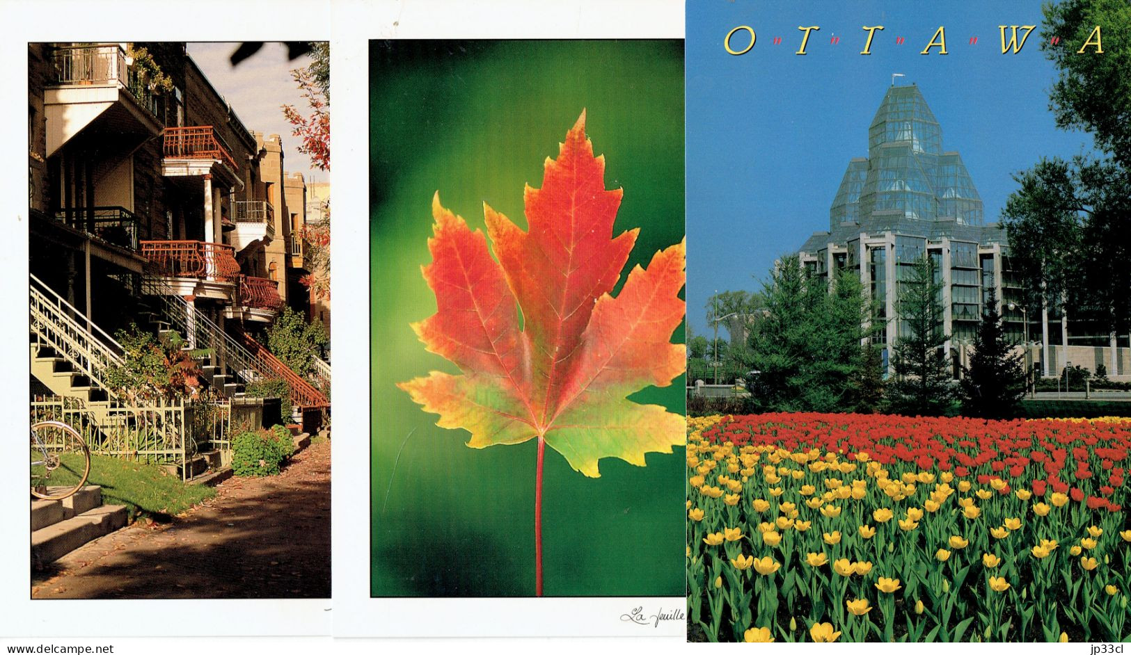 10 Anciennes CP Du Canada (Ottawa, Montréal, Québec, Ontario, Érables...) Vers 1995 (non Circulées) - Collections & Lots