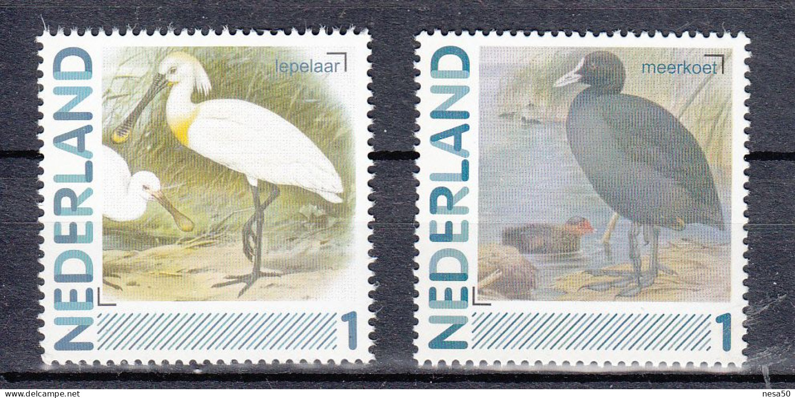 Nederland Persoonlijke Zegels: Vogels, Birds, : Lepelaar + Meerkoet ; Spoonbill + Coot - Nuevos