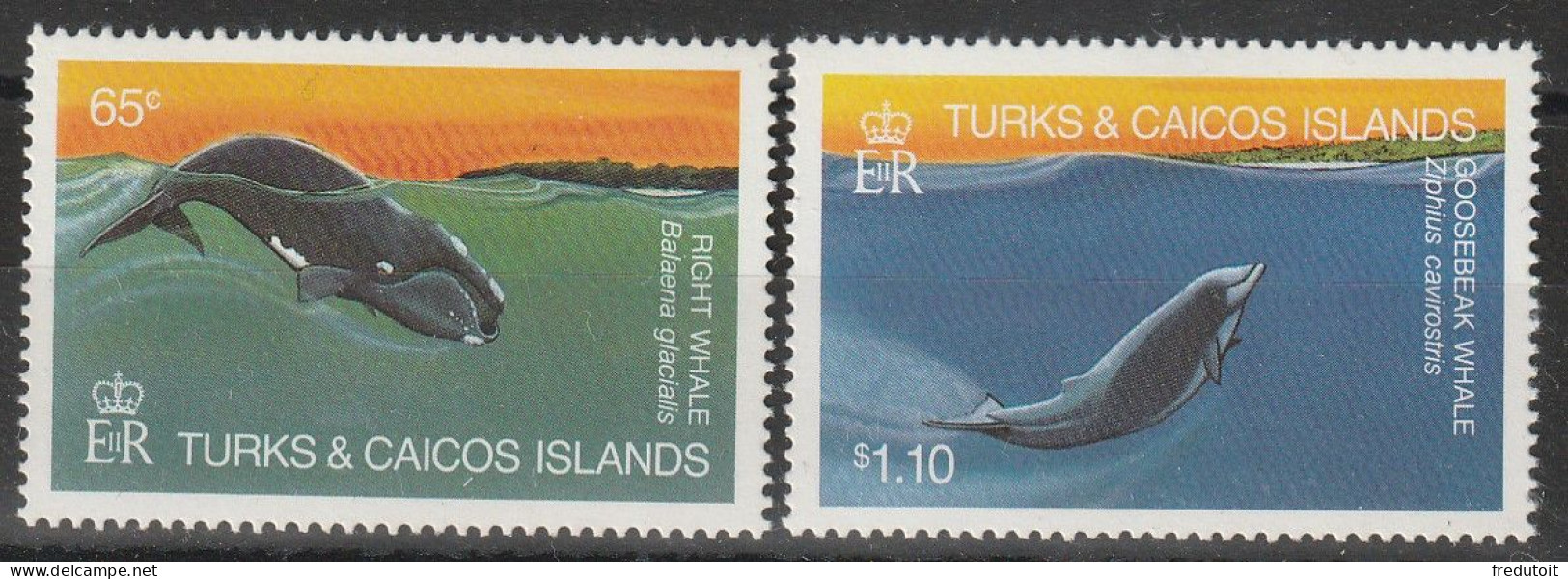 TURKS & CAICOS - N°633/4 ** (1983) Faune Marine : Baleines - Turcas Y Caicos