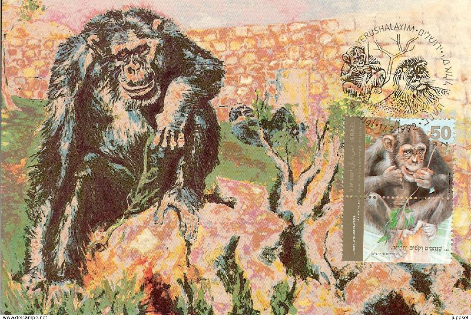 MC ISRAEL, Gepard, Chimpanzee    /   Carte Maximume, Chimpanzé   1992 - Chimpanzees