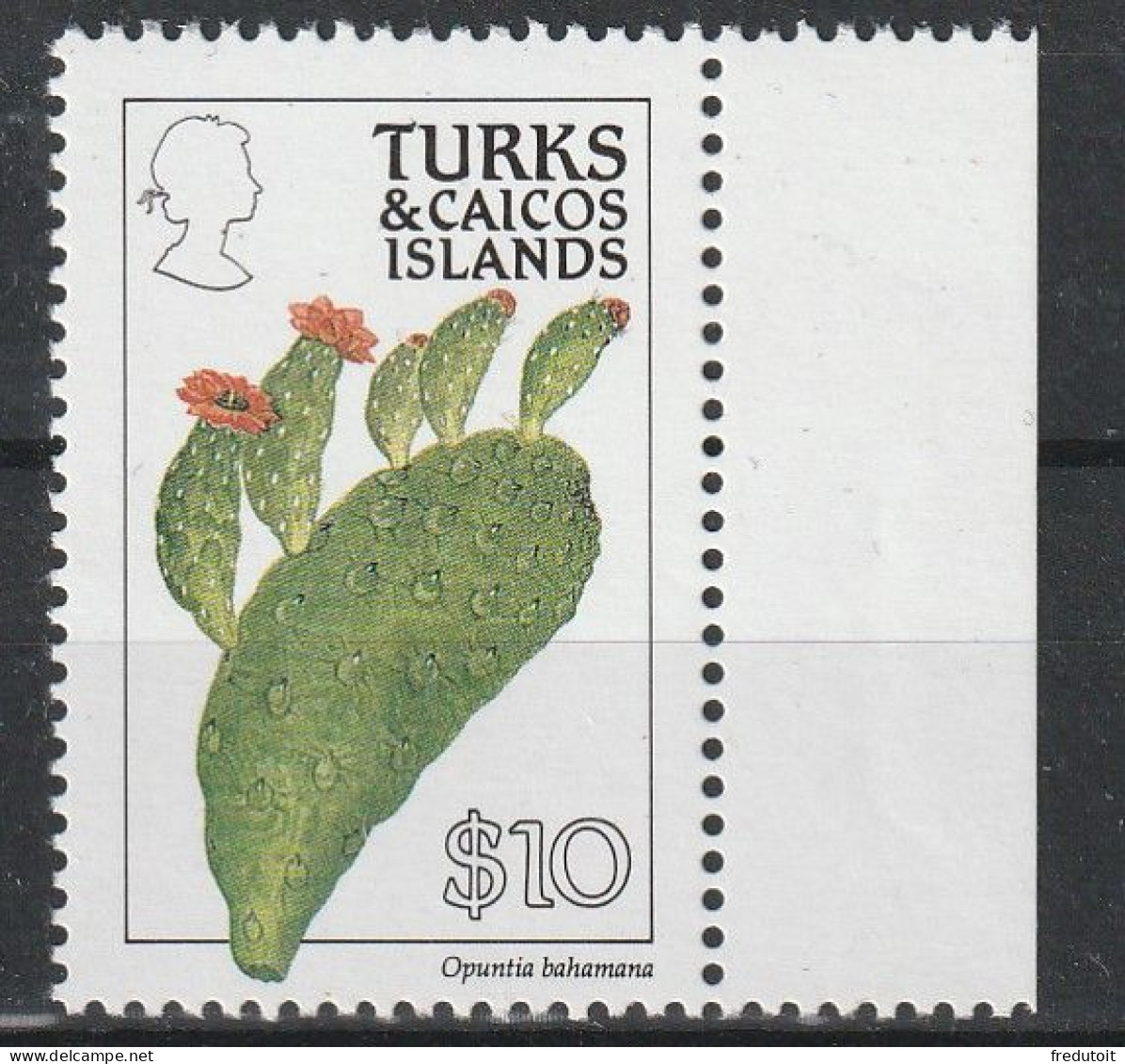 TURKS & CAICOS - N°889 ** (1990) Fleurs : 10$ - Dentelé 12. - Turks E Caicos
