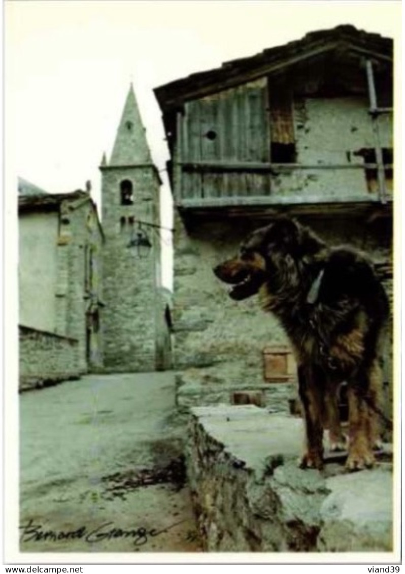 Bonneval. Eglise Et Maison D'habitation. 1987   Avec Chiens De Berger - Bonneval Sur Arc