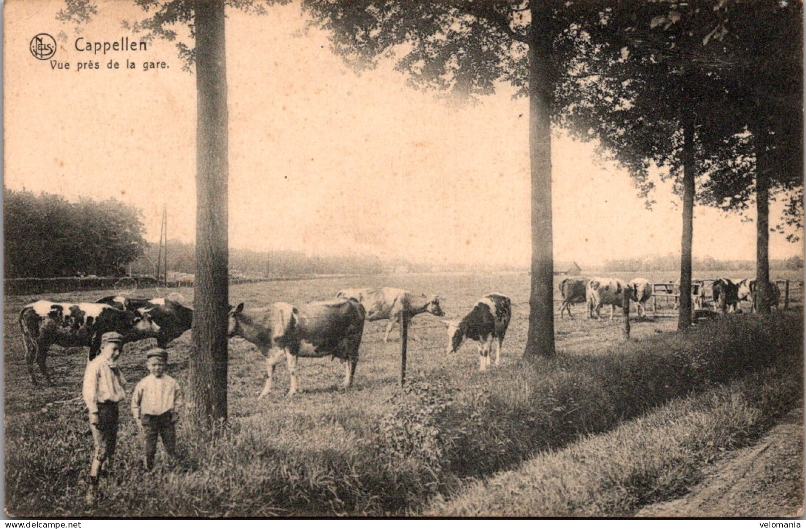 S16395 Cpa Belgique - Capellen - Vue Près De La Gare - Kapellen