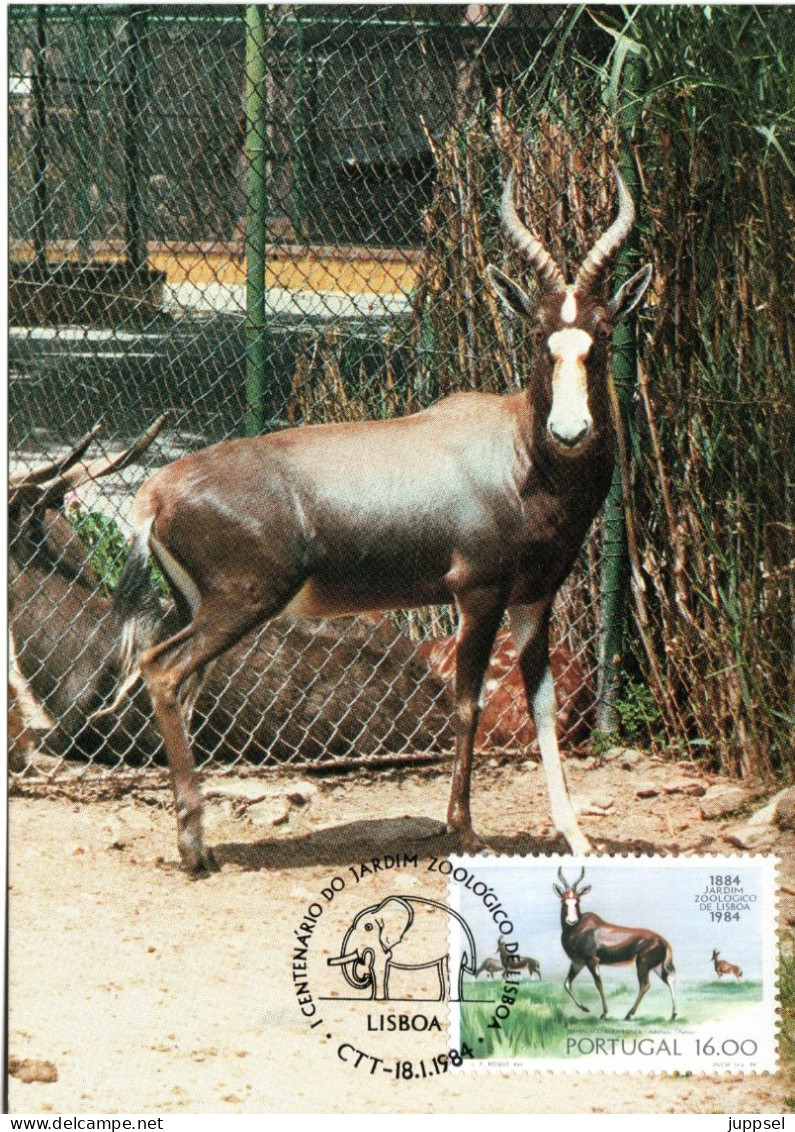 PORTUGAL, MC,  Antelope   /  Carte Maximume, Antilope    1984 - Game