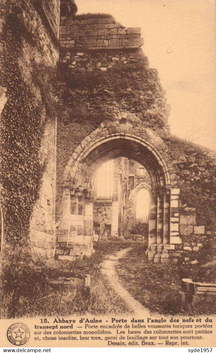 Thuin. Abbaye D'Aulne. Porte Dans L'angle Des Nefs Et Du Transept Nord - Thuin