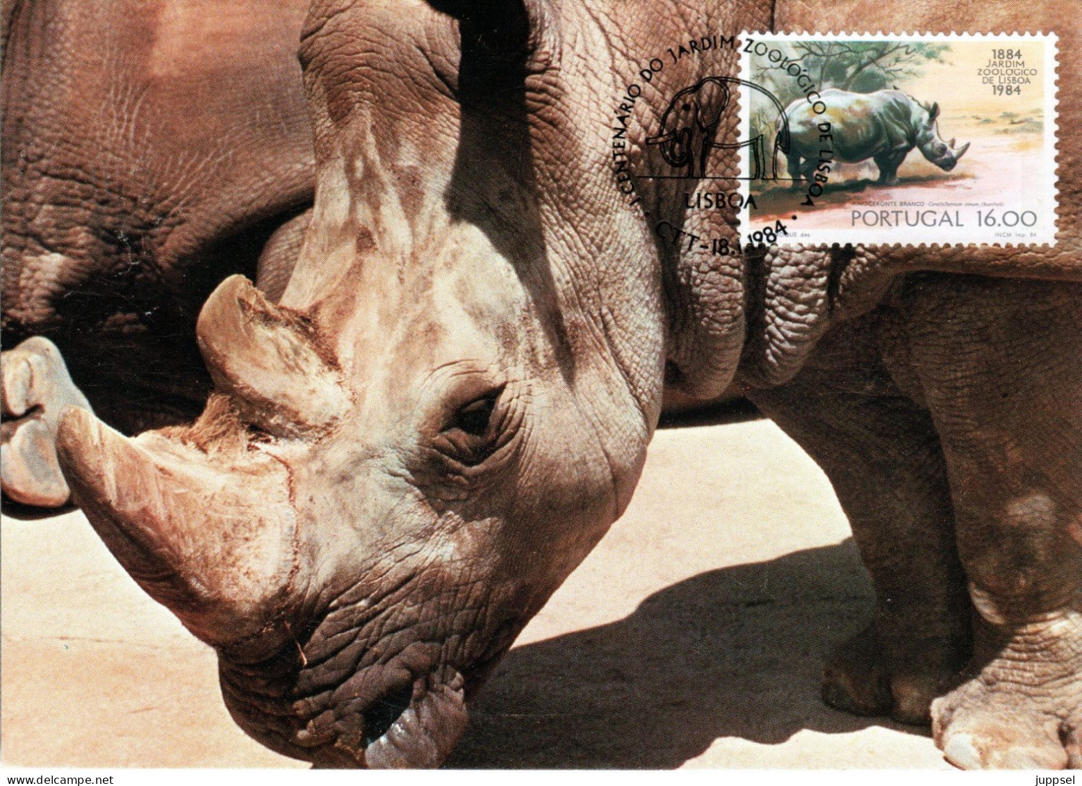 PORTUGAL, MC,  Rhino  /  Carte Maximume, Rhinocéros     1984 - Rhinozerosse