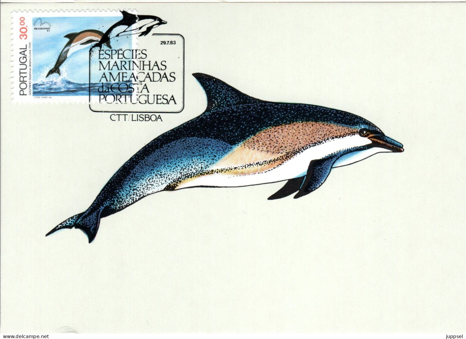 PORTUGAL, MC,  Dolphin   /  Carte Maximume, Delfin   1984 - Dolphins