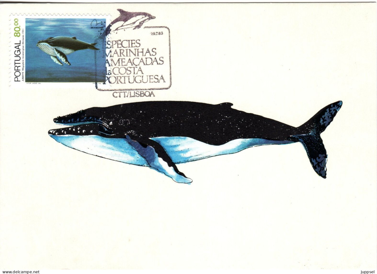 PORTUGAL, MC,  Whale    /  Carte Maximume, Baleine   1984 - Walvissen