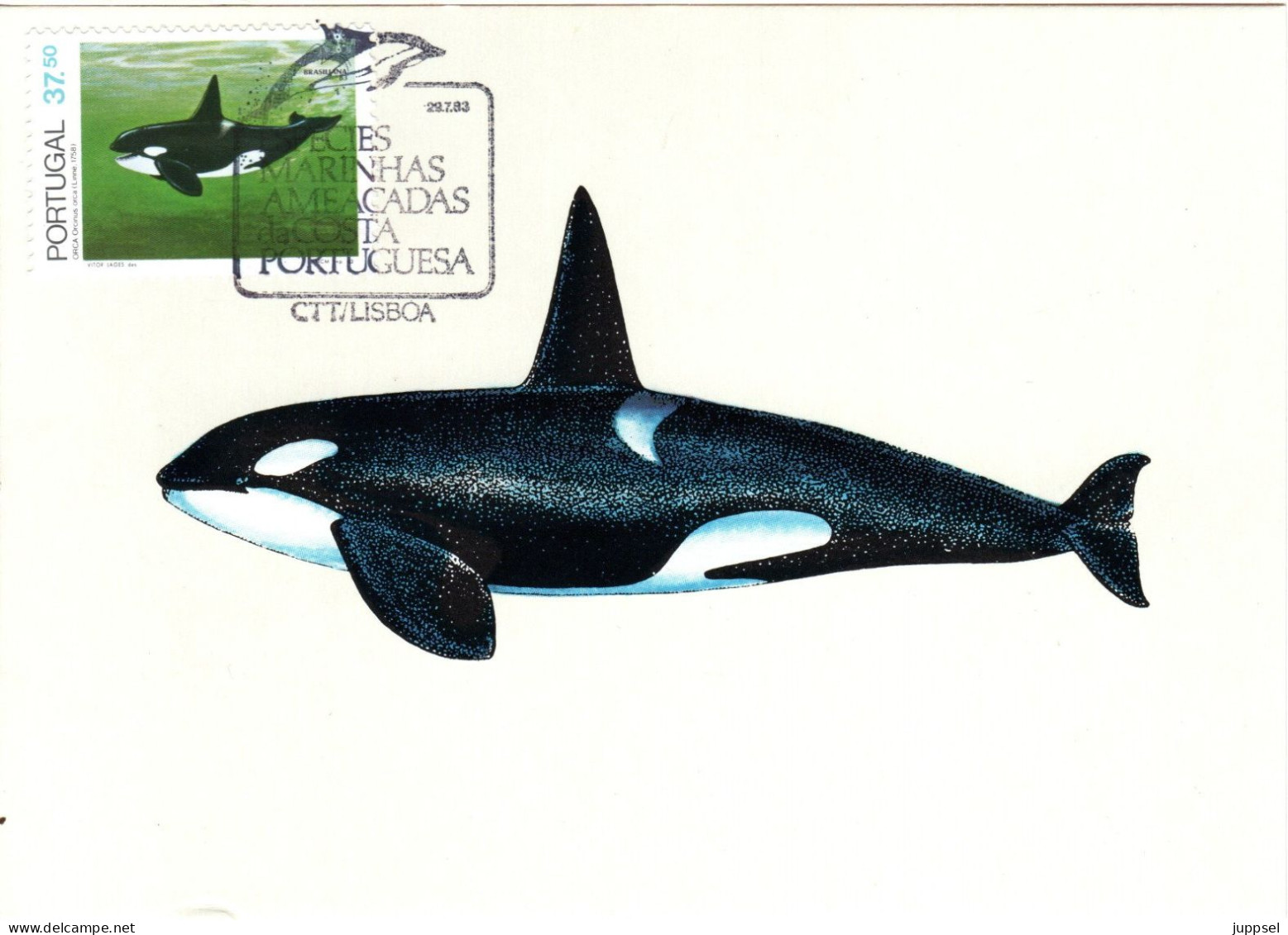 PORTUGAL, MC,  Killer Whale    /  Carte Maximume, Orca    1984 - Wale