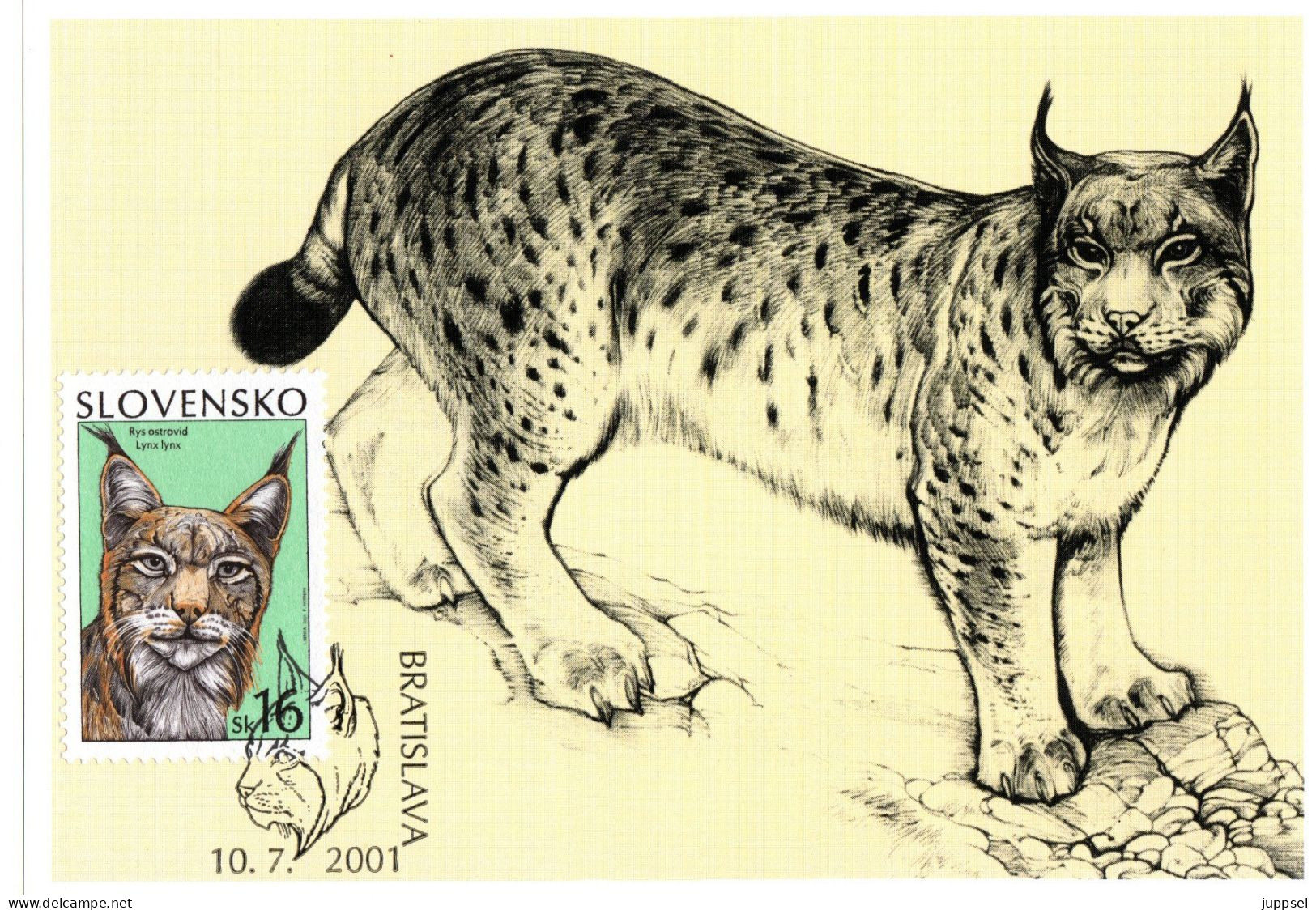 SLOVAKIA  MC,   Lynx   /  SLOVAQUIE  Carte Maximume, Caracal     2001 - Big Cats (cats Of Prey)