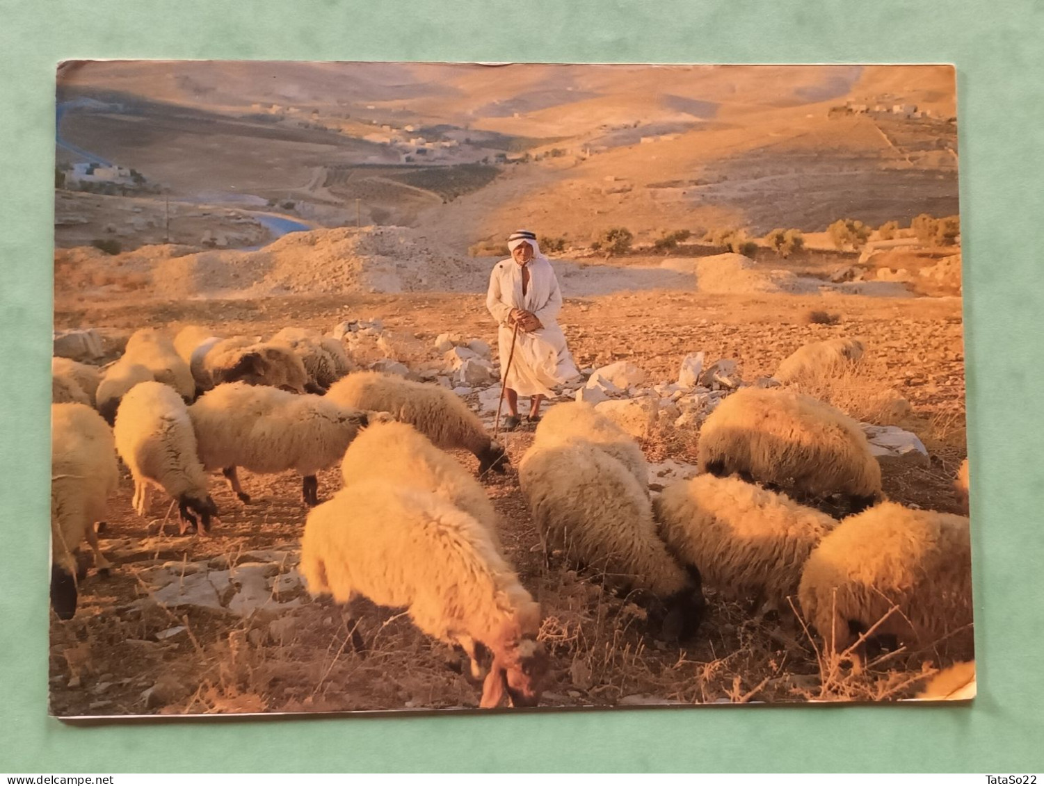 Shepherds Field Bethlehem - Israel