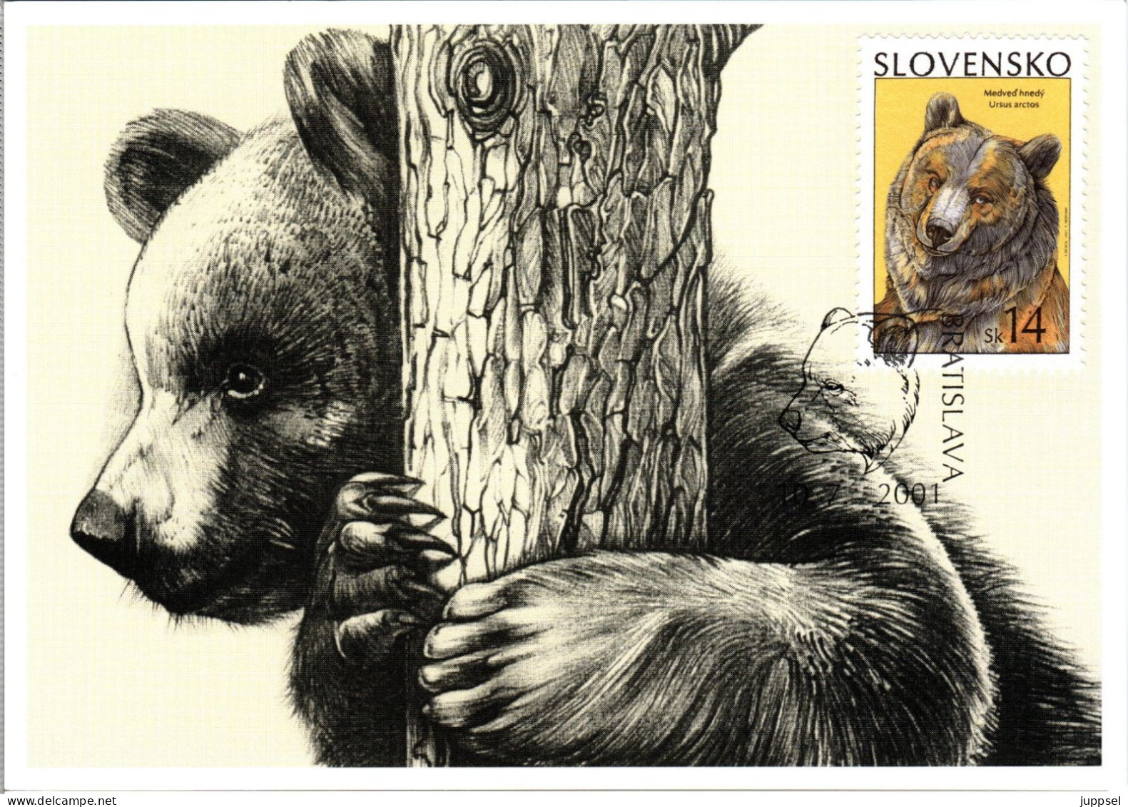 SLOVAKIA  MC,   Brown Bear     /  SLOVAQUIE  Carte Maximume, L`ours Bruin   2001 - Orsi