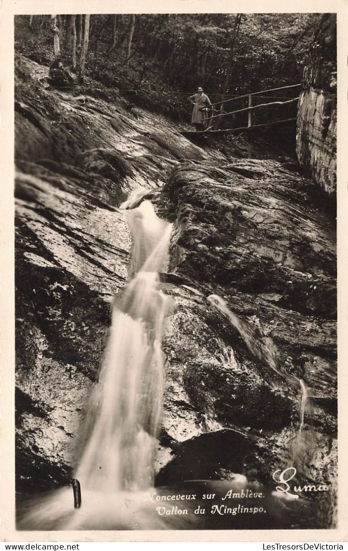 BELGIQUE - Aywaille - Nonceveux Sur Amblève - Vallon Du Ninglinspo - Carte Postale Ancienne - Aywaille