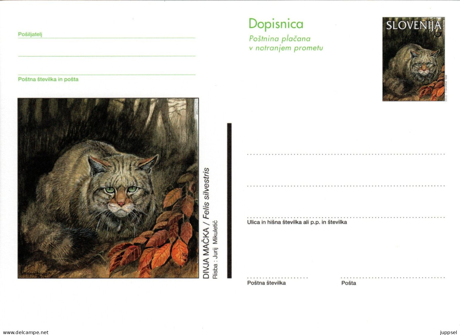 SLOVENIA, Picture Postcard, Wildcat   /  SLOVÉNIE, Carte Postale, Chat Sauvage - Raubkatzen