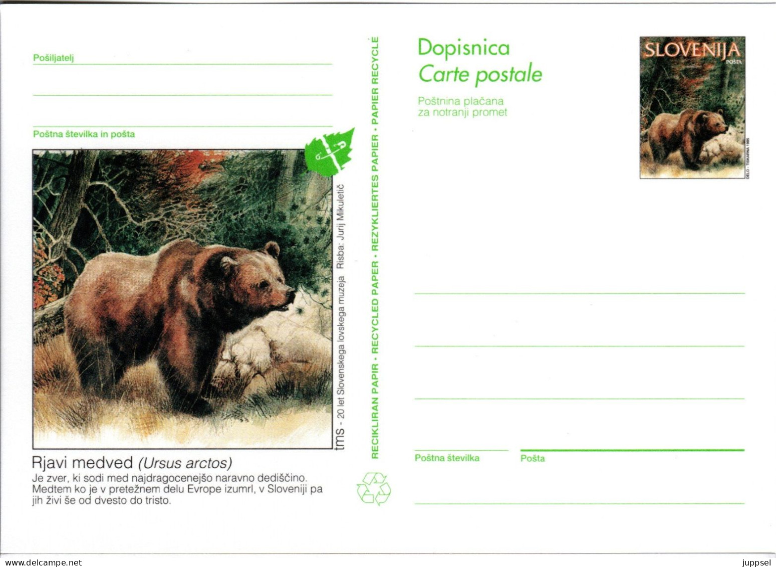 SLOVENIA, Picture Postcard, Brown Bear   /    SLOVÉNIE, Carte Postale, L`ours Bruin - Beren