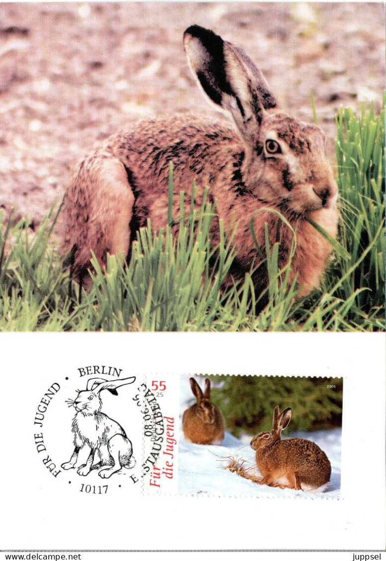 GERMANY  MC, Hare    /    ALLEMAGNE Carte Maximume,  Lapin   2006 - Rabbits