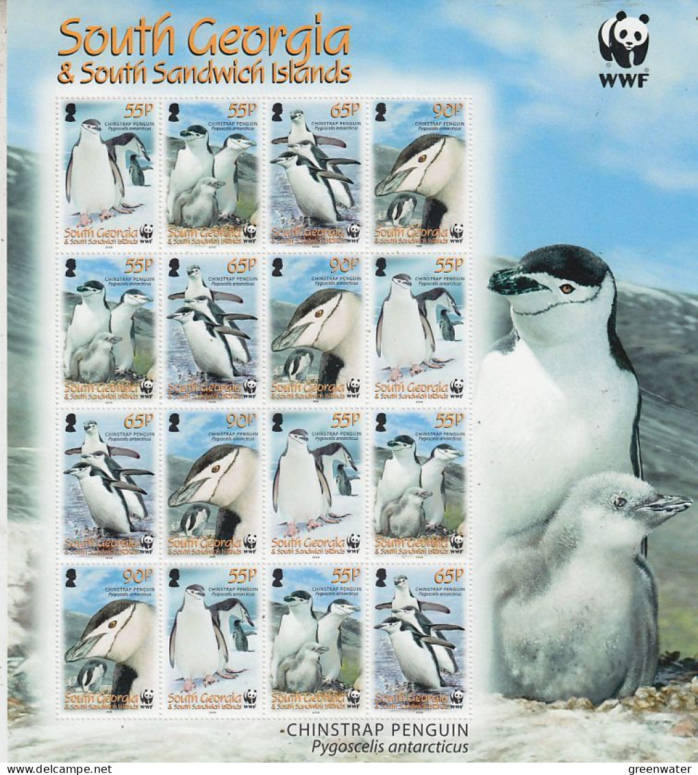 South Georgia 2008 Chinstrap Penguin WWF Sheetlet ** Mnh (FG194) - Géorgie Du Sud