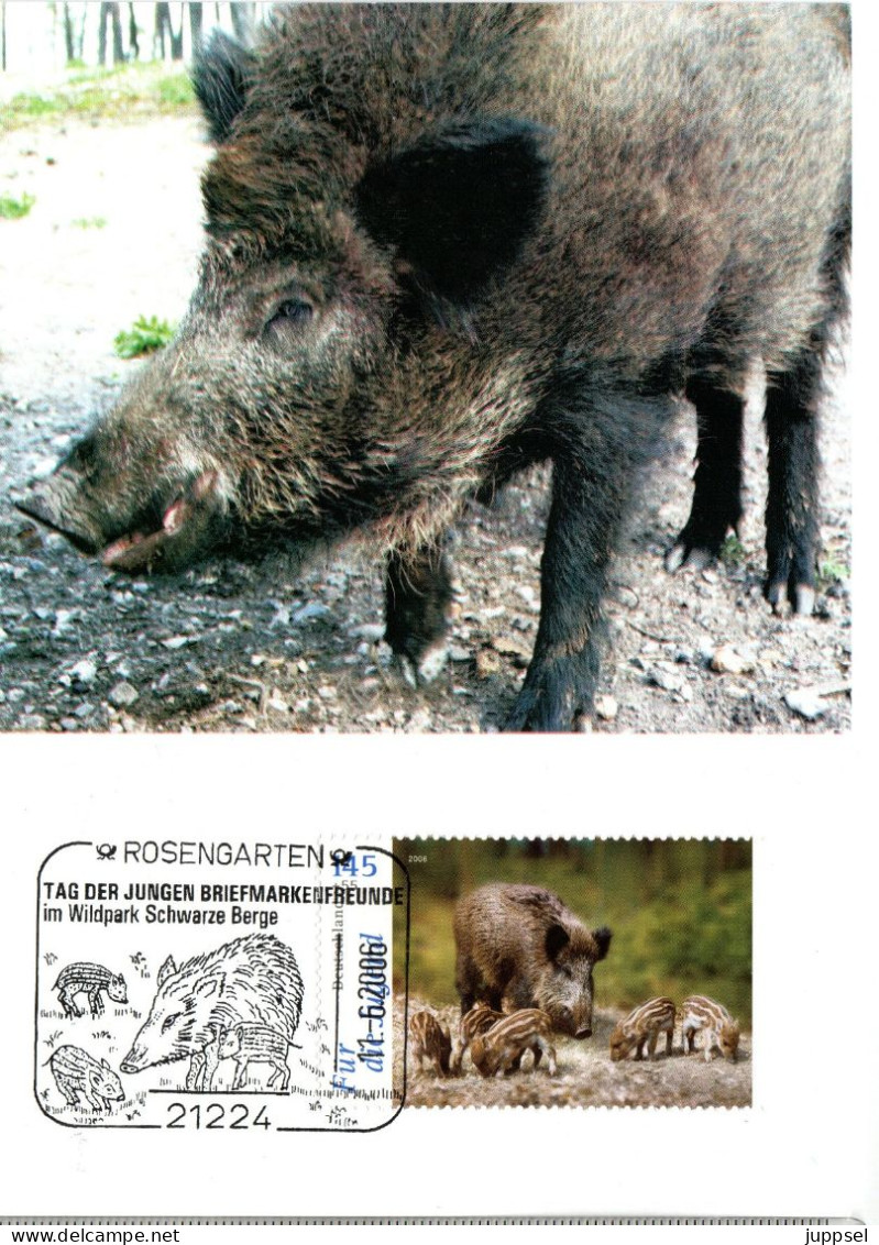 GERMANY  MC, Wild Boar    /    ALLEMAGNE Carte Maximume,  Sanglier    2006 - Wild