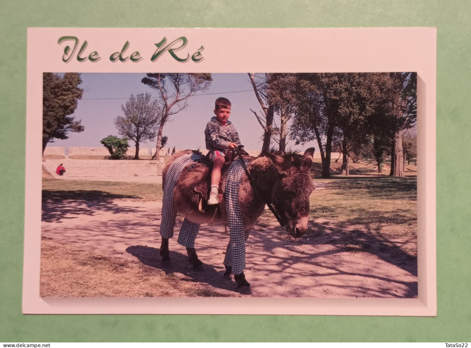 Ile De Ré - L'âne En Culotte - Ile De Ré