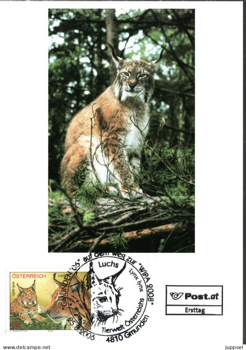 AUSTRIA  MC, Lynx   /    AUTRICHE Carte Maximume, Caracal   2008 - Big Cats (cats Of Prey)