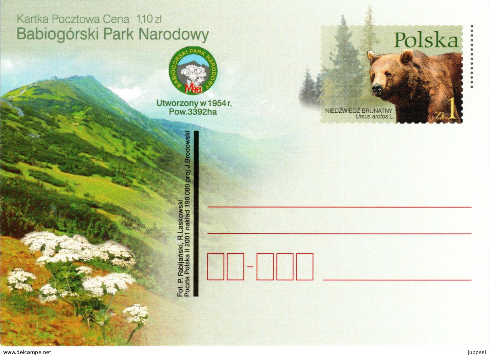 POLAND, Postcard, Brown Bear      /    POLOGNE, Carte Postal, L`ours Bruin - Bären