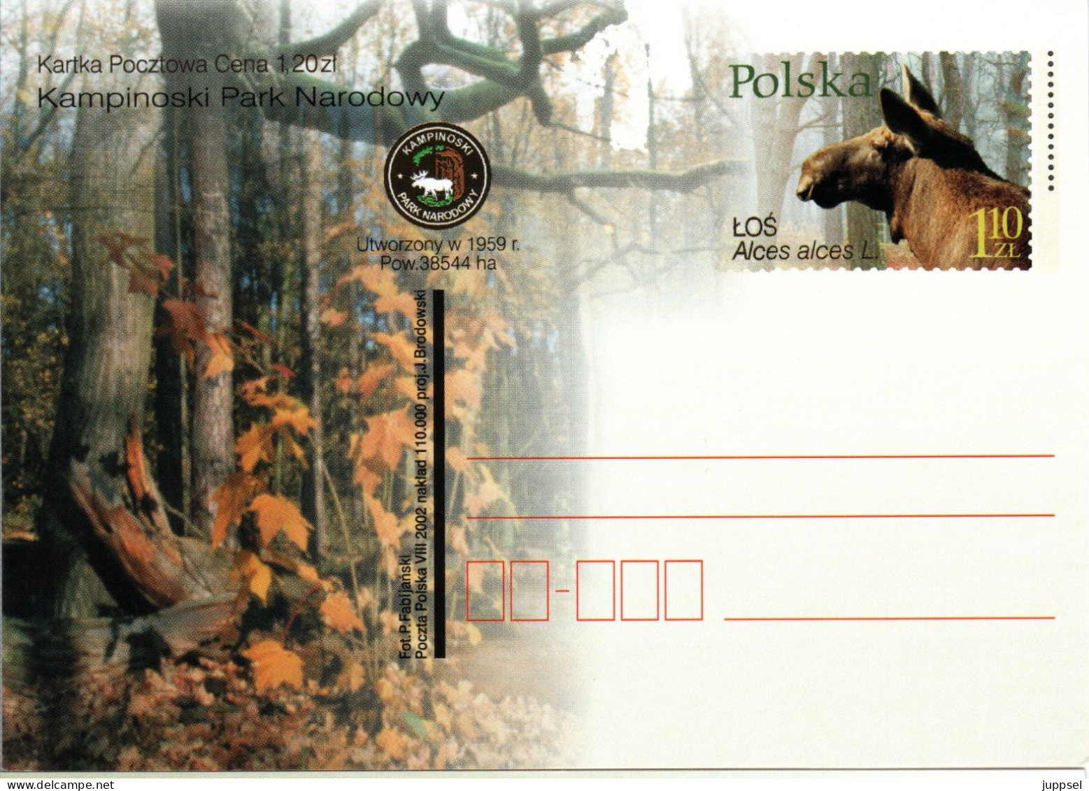 POLAND, Postcard, Elk     /    POLOGNE, Carte Postal, L`élan - Animalez De Caza