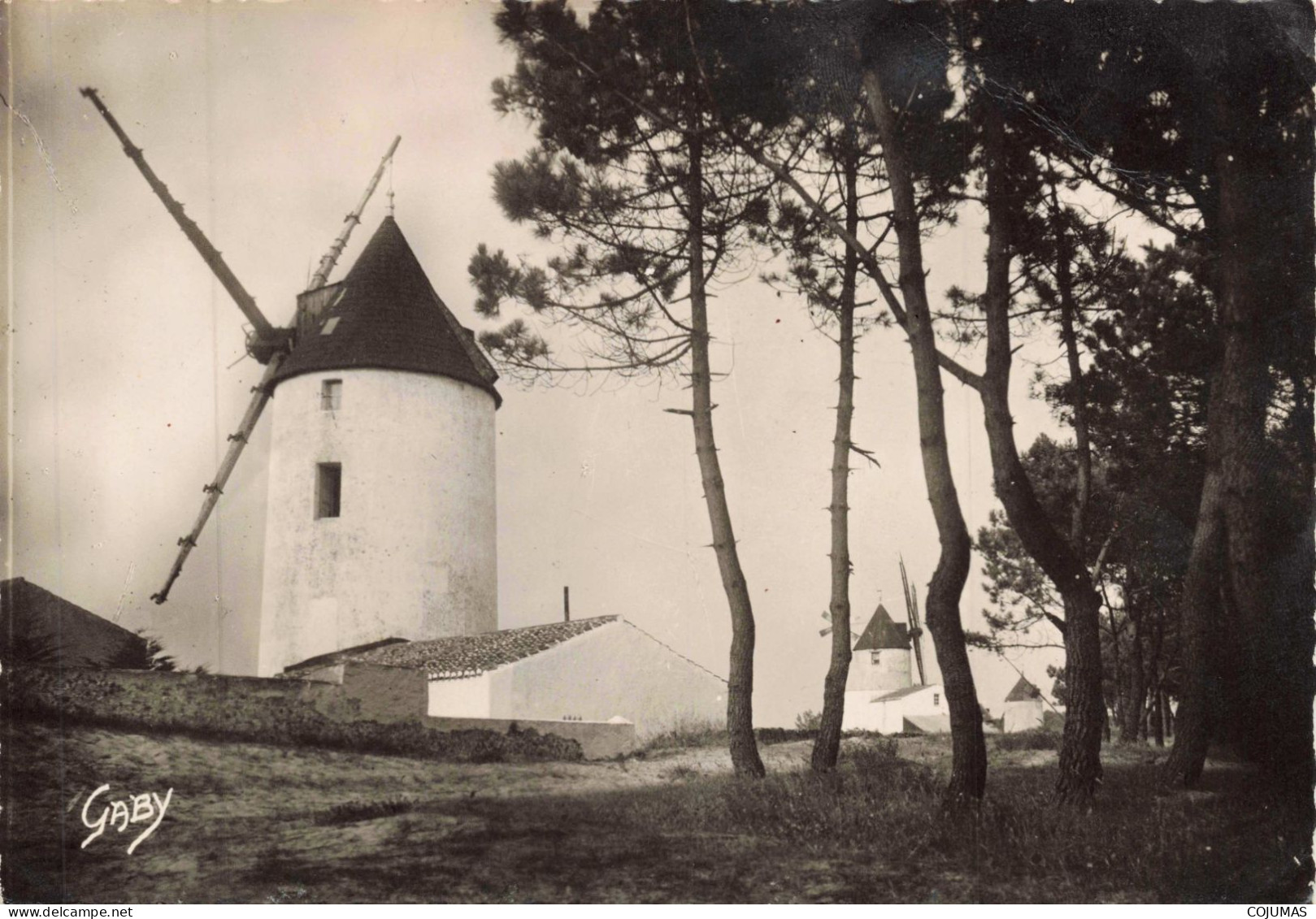 85 - ILE DE NOIRMOUTIER _S28040_ La Guérinière Les Moulins - ARTAUD - CPSM 15x10 Cm - Noirmoutier