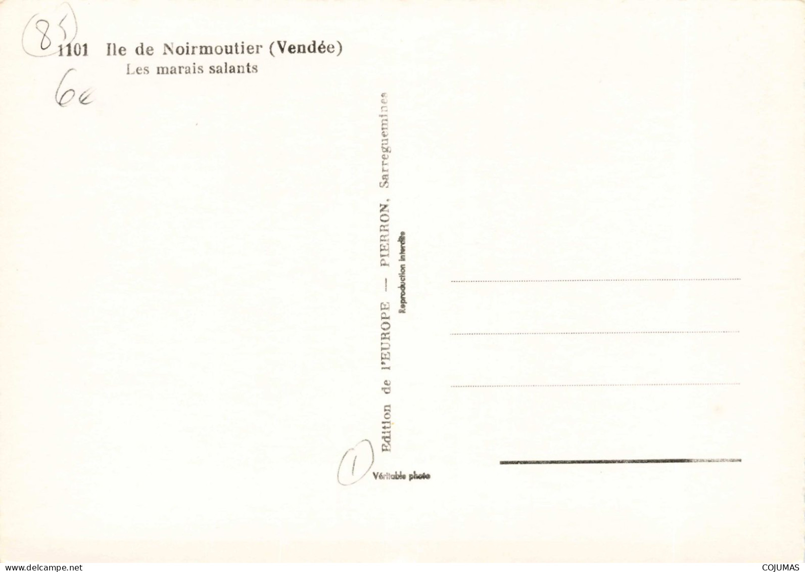 85 - ILE DE NOIRMOUTIER _S28041_ Les Marais Salants - EUROPE - CPSM 15x10 Cm - Noirmoutier