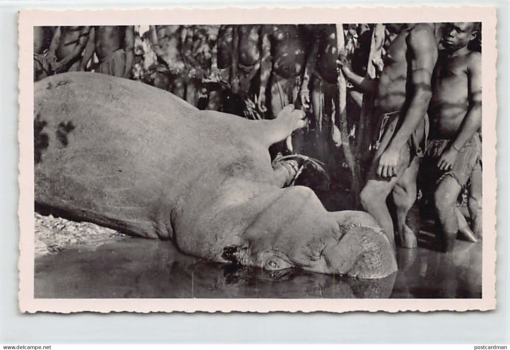 Niger - Hippopotame Chassé Sur Le Fleuve Niger - Ed. G. Labitte 26 - Niger