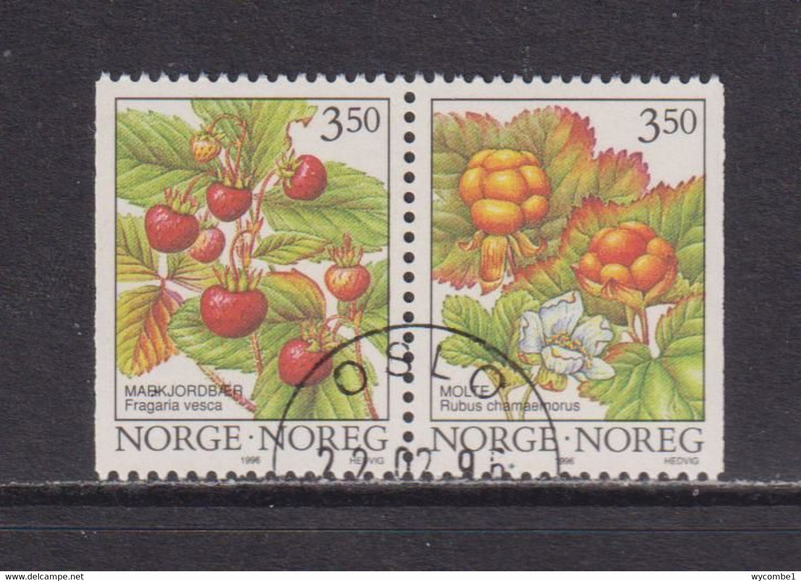 NORWAY - 1996 Wild Berries  Booklet Pair Used As Scan - Used Stamps