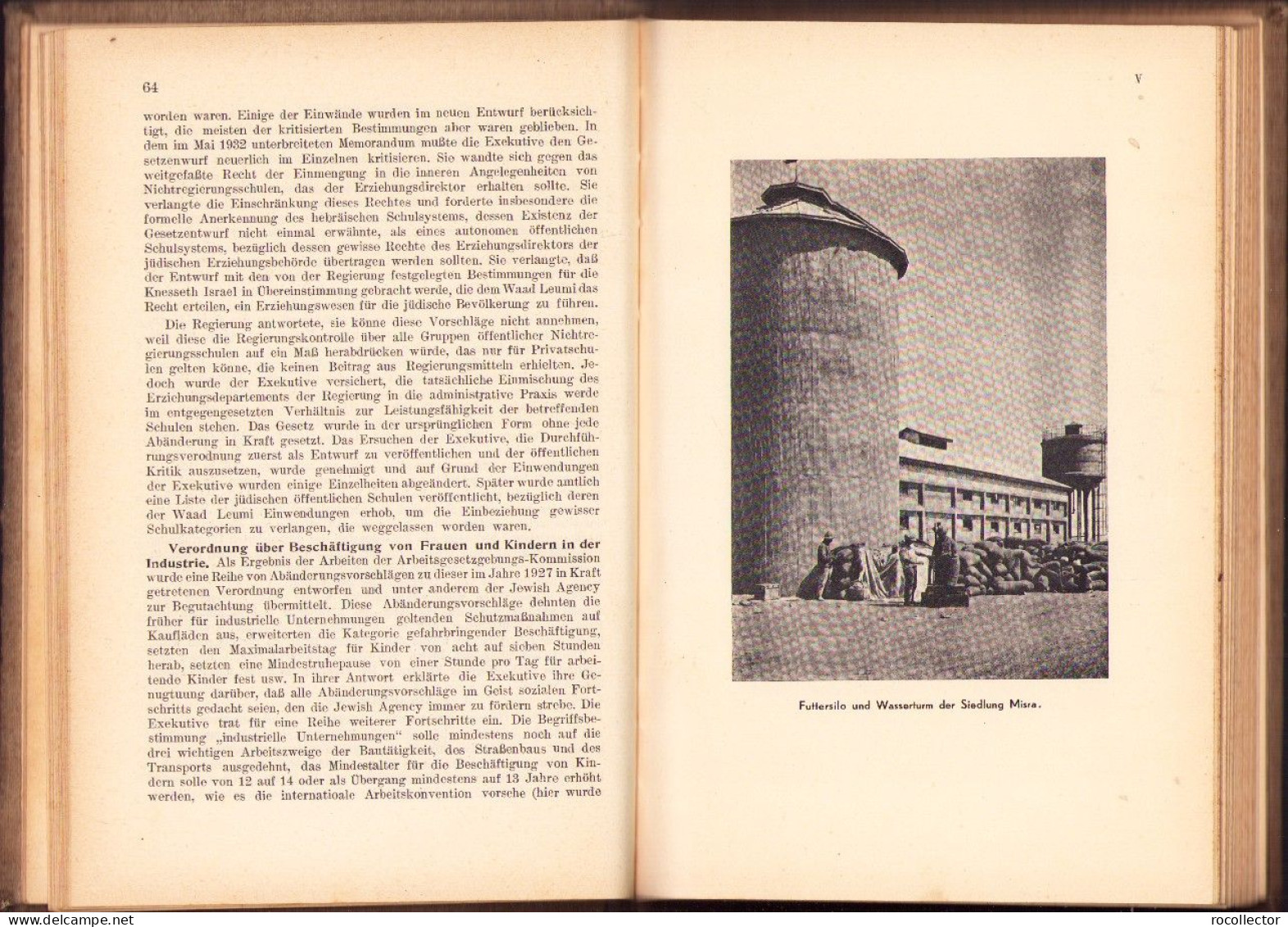 Wir bauen Palästina politische, wirtschaftliche und kulturelle Aufbau-Arbeit Sommer 1931 bis Sommer 1933 734SPN