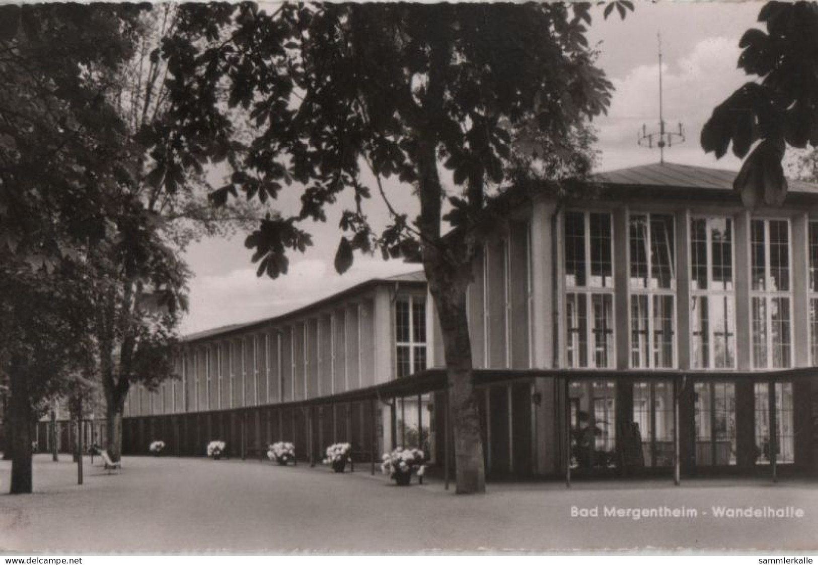 38249 - Bad Mergentheim - Wandelhalle - 1958 - Bad Mergentheim